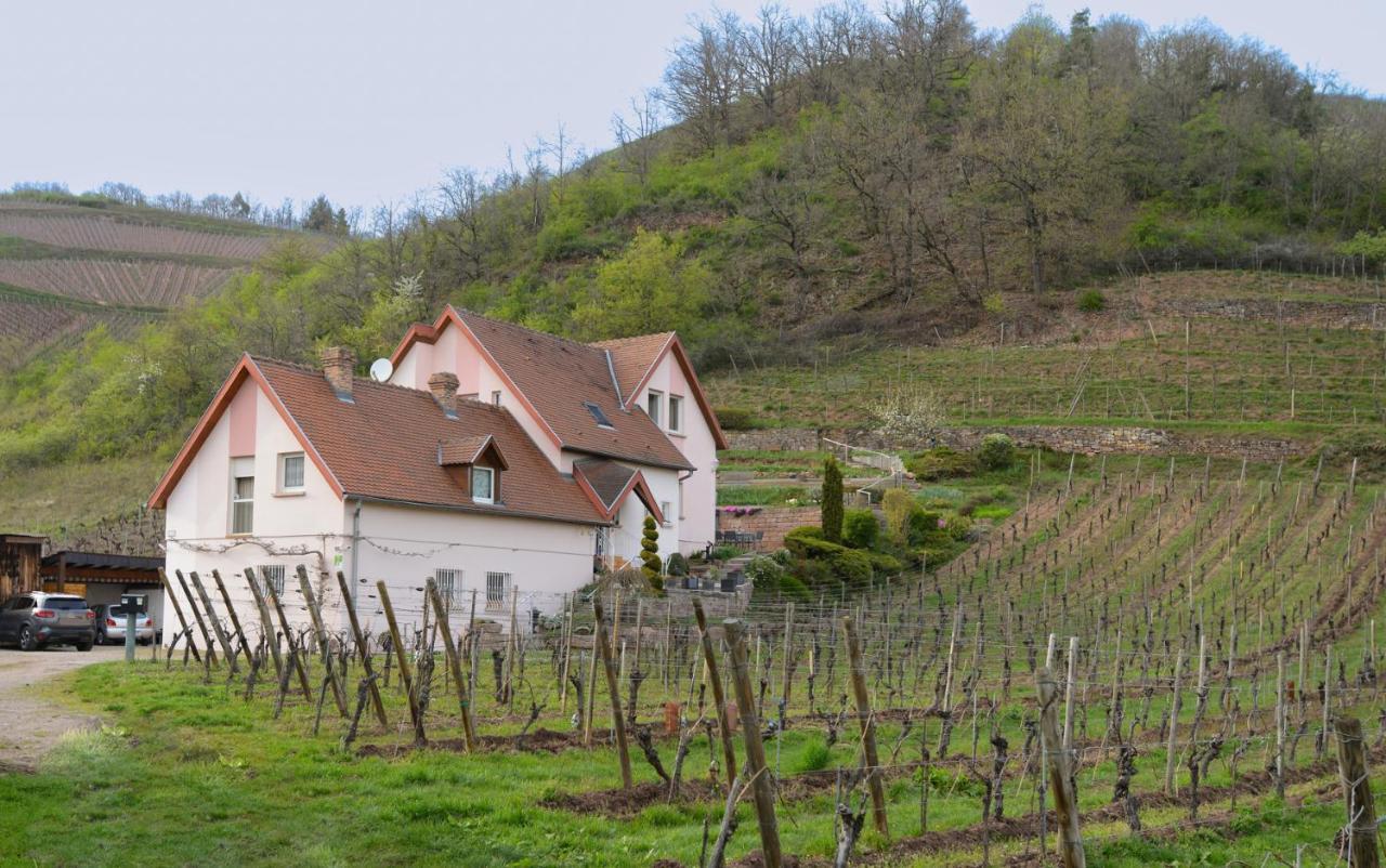 Les Glycines Du Sommerberg Niedermorschwihr ภายนอก รูปภาพ