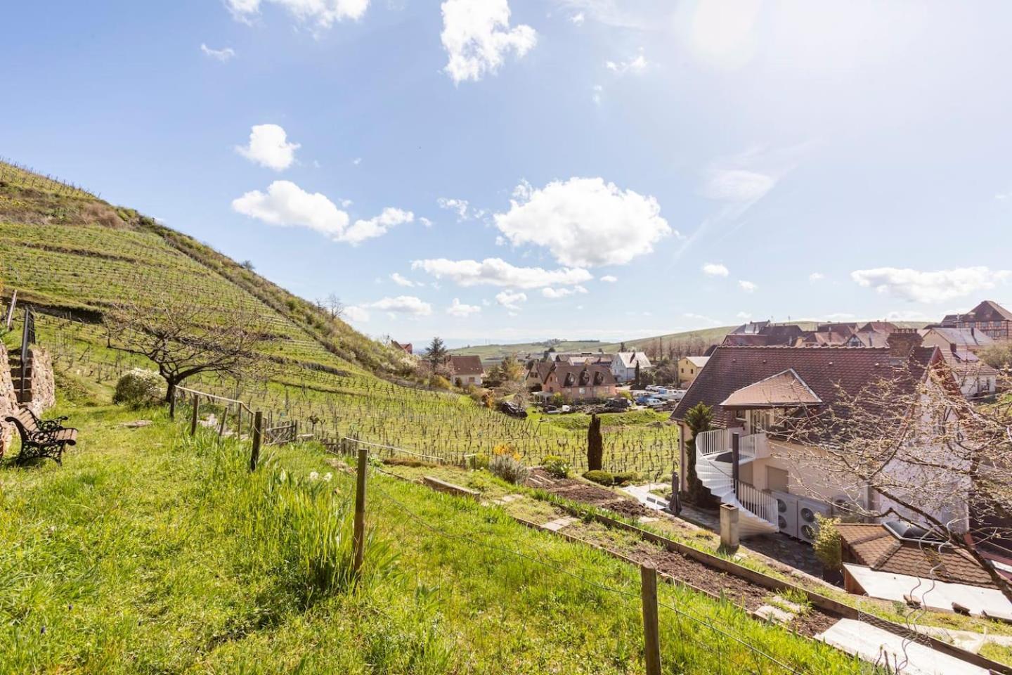 Les Glycines Du Sommerberg Niedermorschwihr ภายนอก รูปภาพ